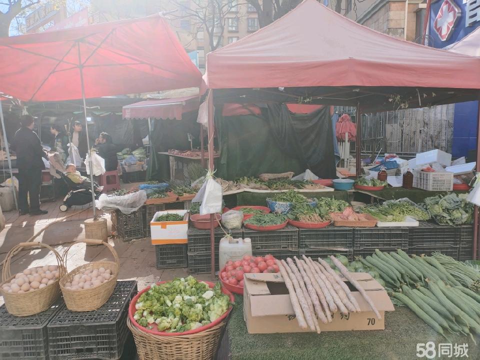 昆明1号线商机 小型果蔬铺的理想选址与经营之道
